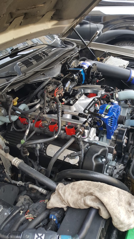 Edelbrock Intake Manifold Installation ADTR